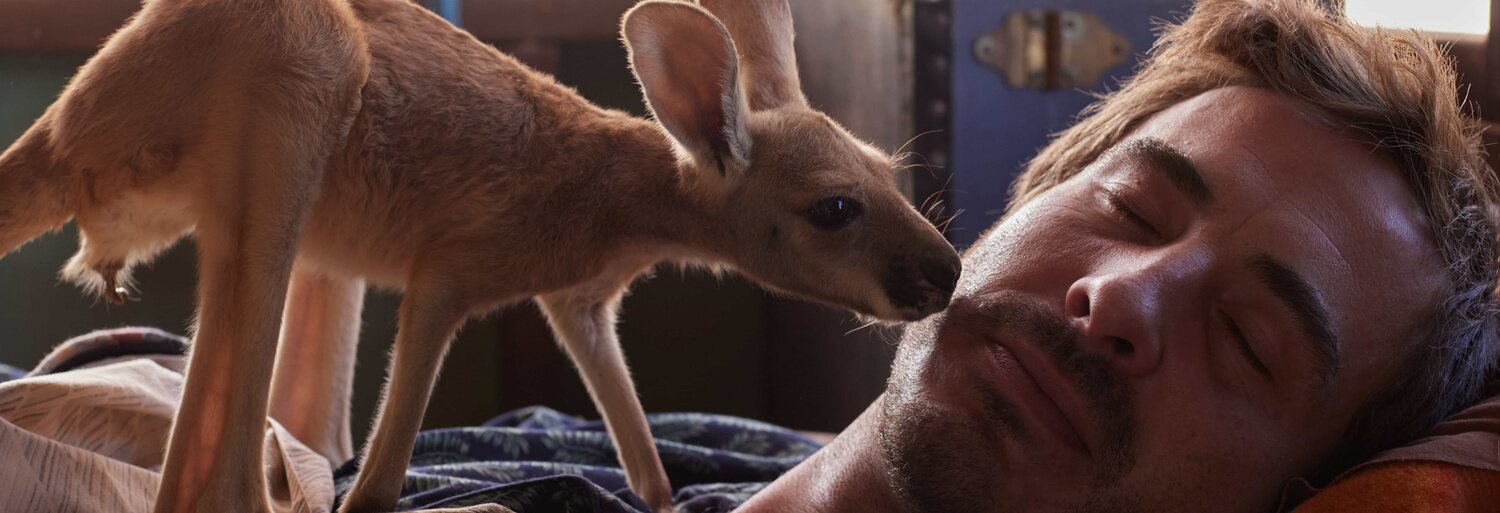 Kangaroo