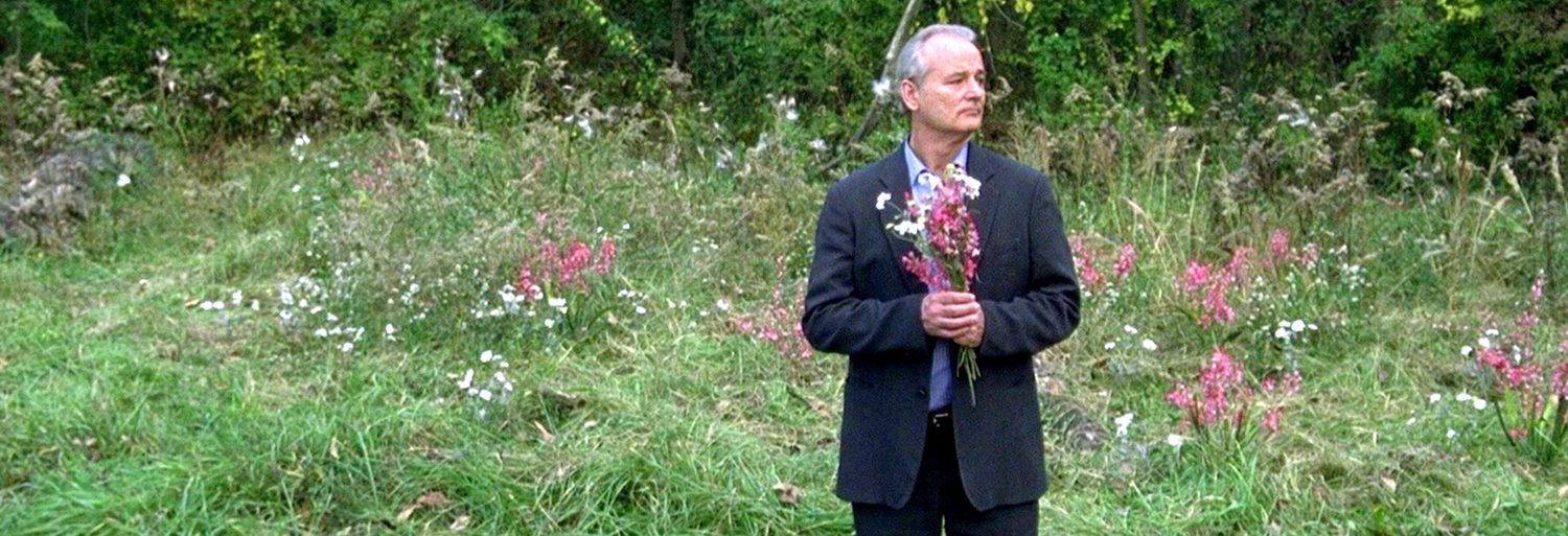 Broken Flowers