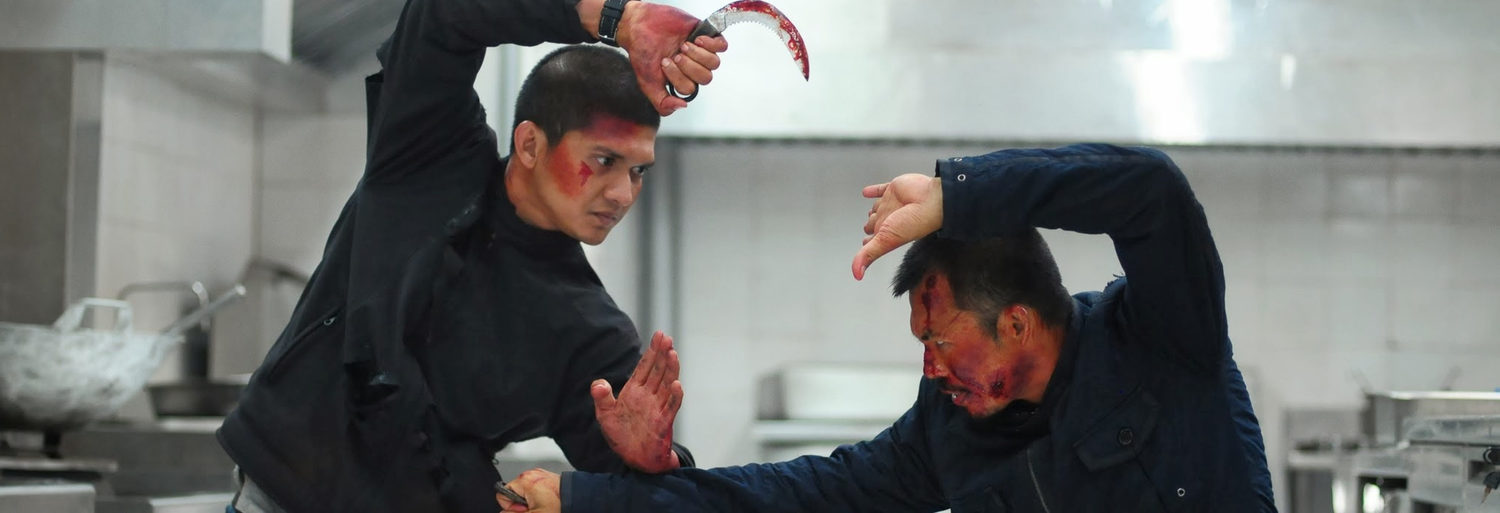 The Raid 2