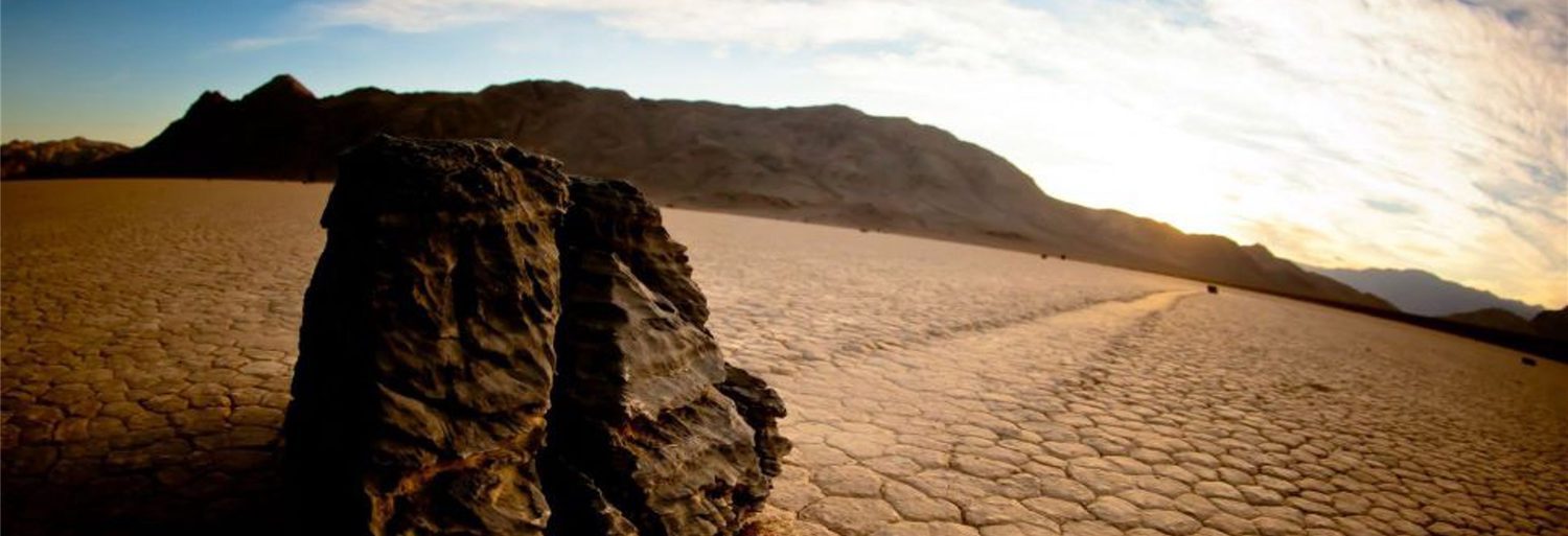 Stones from the Desert