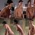 Morena Baccarin naked in 'It's Always Sunny'