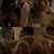 Hiba Abouk naked showing her tits and making sex in 'El Principe'