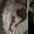 Lady Gaga shows her butt in 'American Horror Story: Hotel'