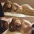 Agnès Jaoui, naked, shows her boobs in 'The Sweet Escape'