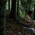 Eva Melander, full nudity in 'Border'