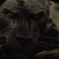 Foto de 'Mowgli: Legend of the Jungle'