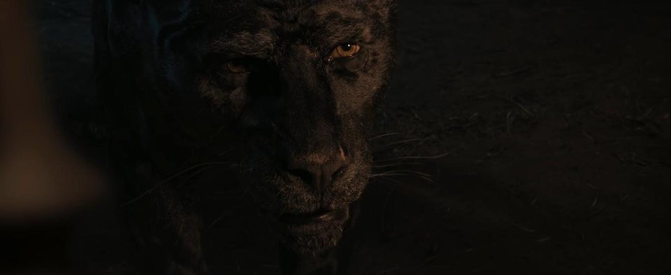 Imagen de la película Mowgli: Legend of the Jungle
