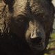 Imagen de la película Mowgli: Legend of the Jungle
