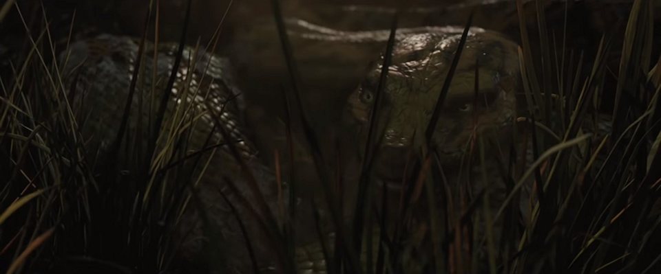 Imagen de la película Mowgli: Legend of the Jungle