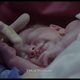 Imagen de la película The Midwife