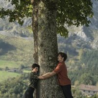 El árbol de la sangre