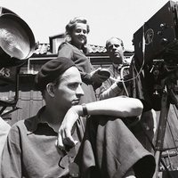 Bergman, su gran año
