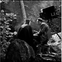 Bergman, su gran año