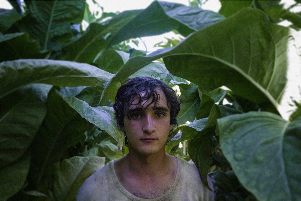 Imagen de la película Happy as Lazzaro