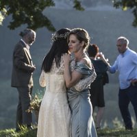 Foto de 'The Tree of Blood'
