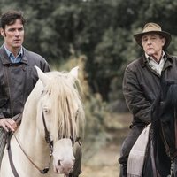 Foto de 'The Tree of Blood'