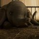 Imagen de la película Dumbo