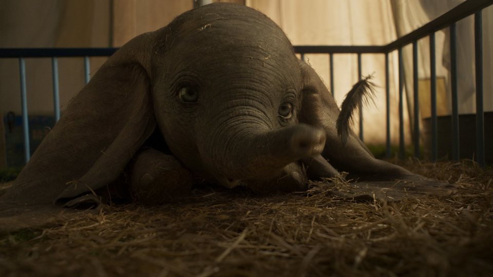 Imagen de la película Dumbo
