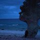 Imagen de la película Searching for Ingmar Bergman