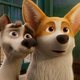 Imagen de la película The Queen's Corgi