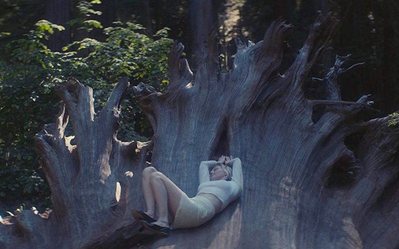Imagen de la película Woodshock