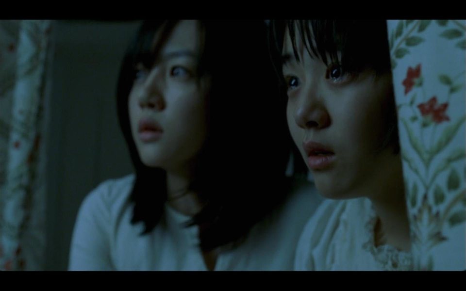 Imagen de la película A Tale of Two Sisters