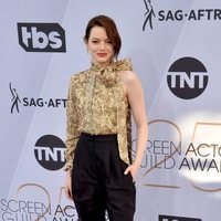Emma Stone at the 2019 SAG Awards red carpet