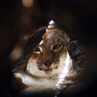 Una amistad inolvidable