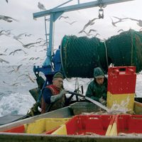 Nosotros alimentamos al mundo