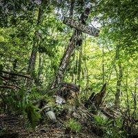 Cementerio de animales (re)