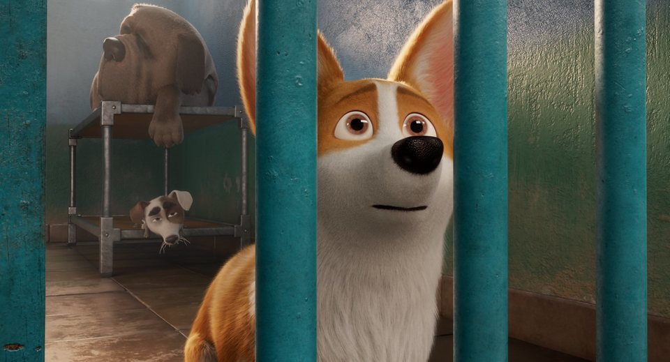 Imagen de la película The Queen's Corgi