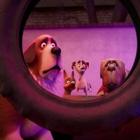 Corgi, las mascotas de la reina