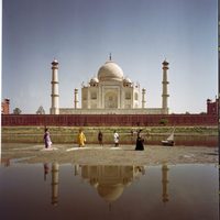 The fall. El sueño de Alexandria