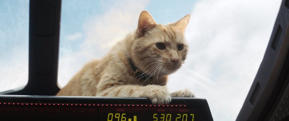Imagen de la película Captain Marvel