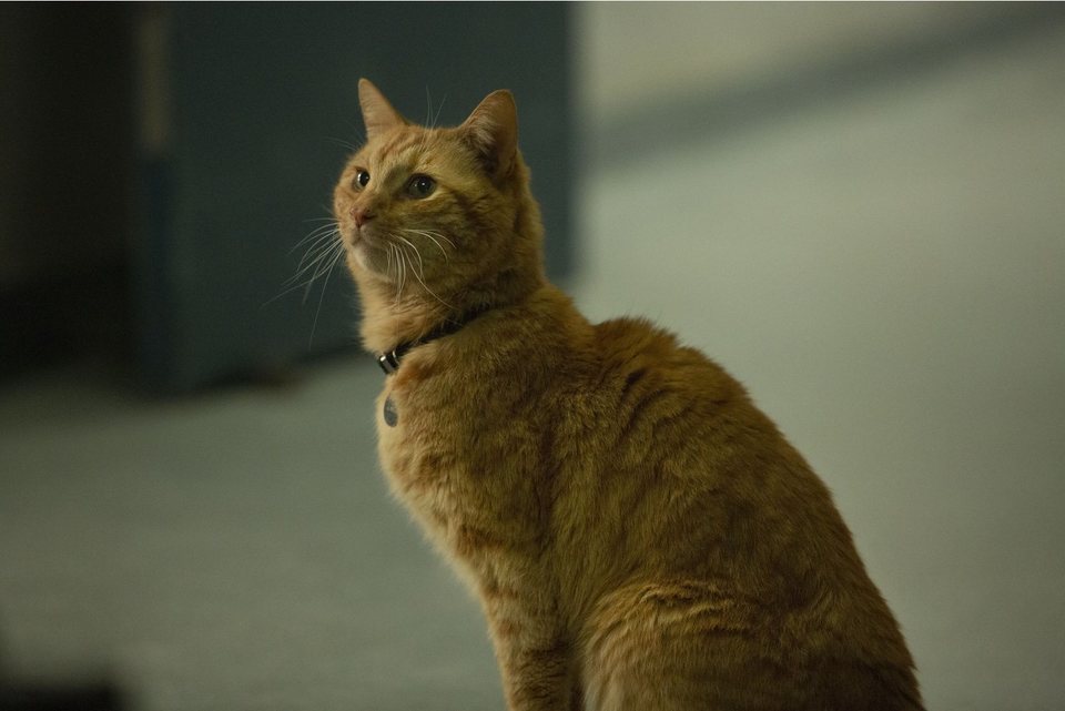 Imagen de la película Captain Marvel