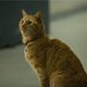 Imagen de la película Captain Marvel