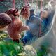 Imagen de la película Wonder Park