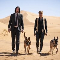 Foto de 'John Wick 3: Chapter 3 - Parabellum'