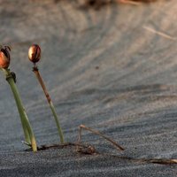Foto de 'Azul Siquier'