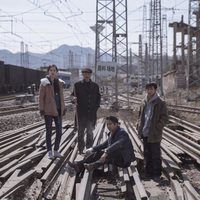 An Elephant Sitting Still