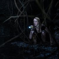 Foto de 'Crawl'