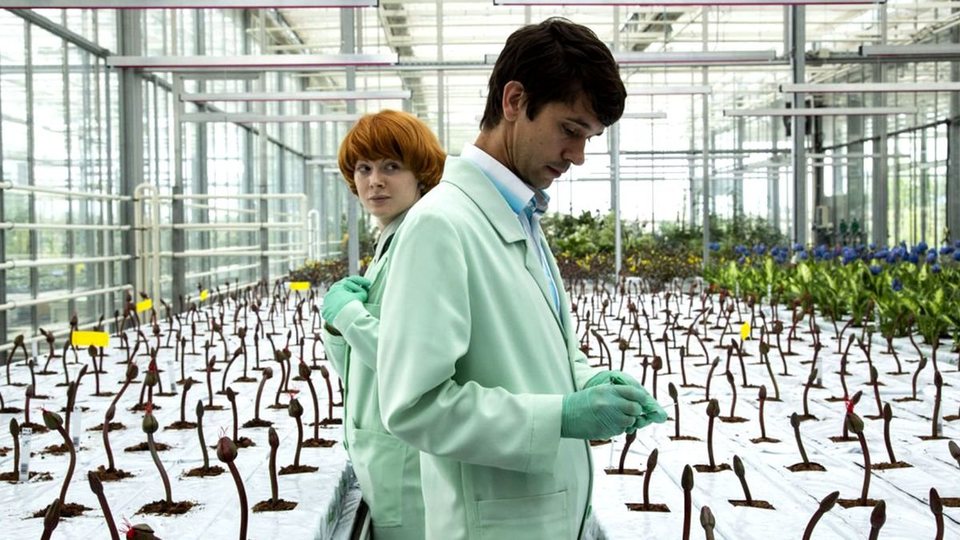 Imagen de la película Little Joe