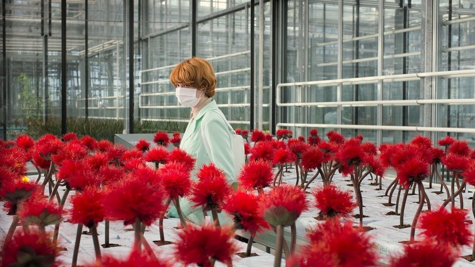 Imagen de la película Little Joe