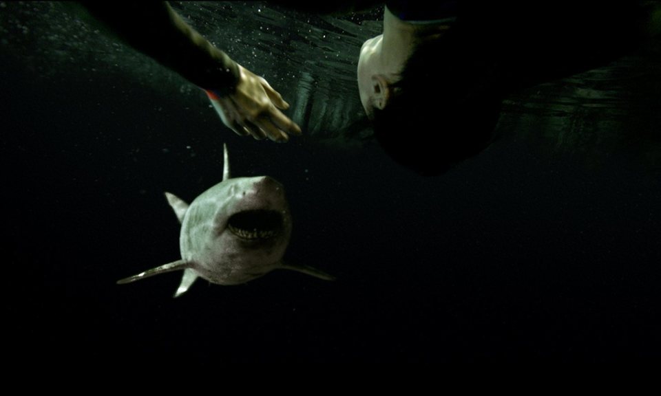 Imagen de la película 47 Meters Down: Uncaged