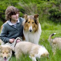 Foto de 'Lassie'