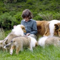 Foto de 'Lassie'