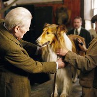 Foto de 'Lassie'