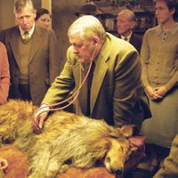 Foto de 'Lassie'
