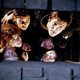 Imagen de la película The Goonies