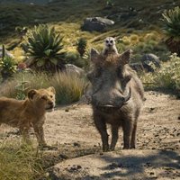 Foto de 'The Lion King'